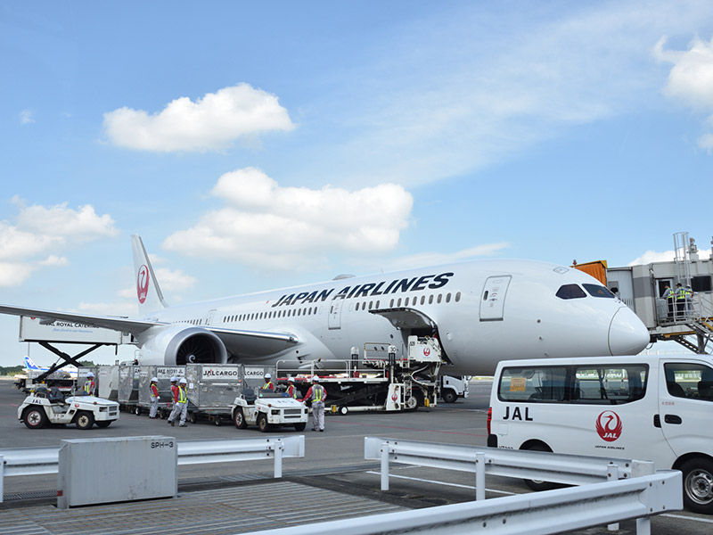 写真：JALの機体と周囲の様子