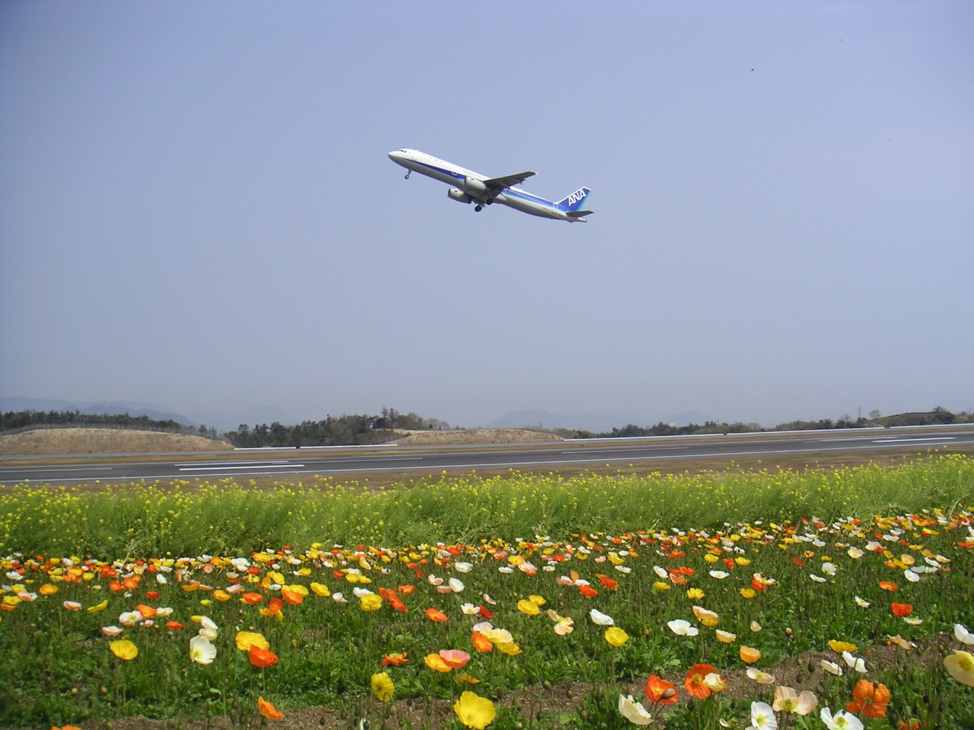 写真：さぬきこどもの国から見える高松空港の滑走路